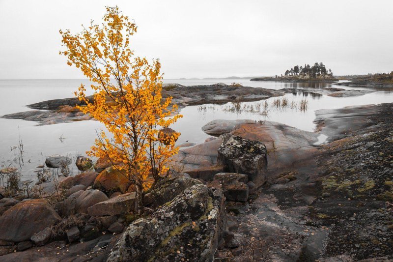 Карелия белое море