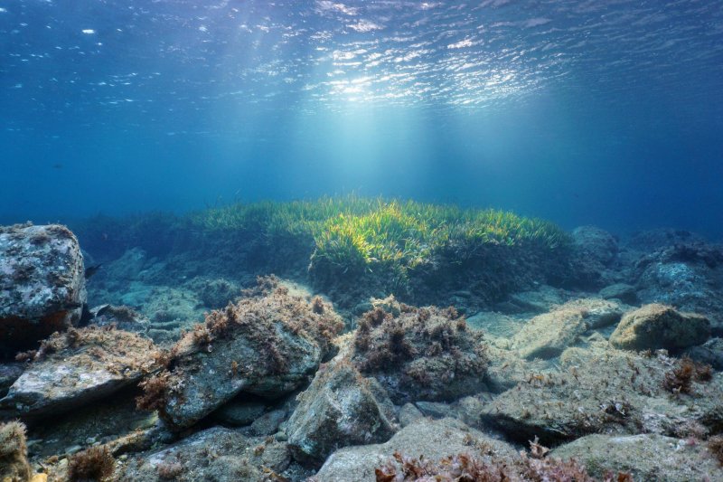 Средиземное море под водой