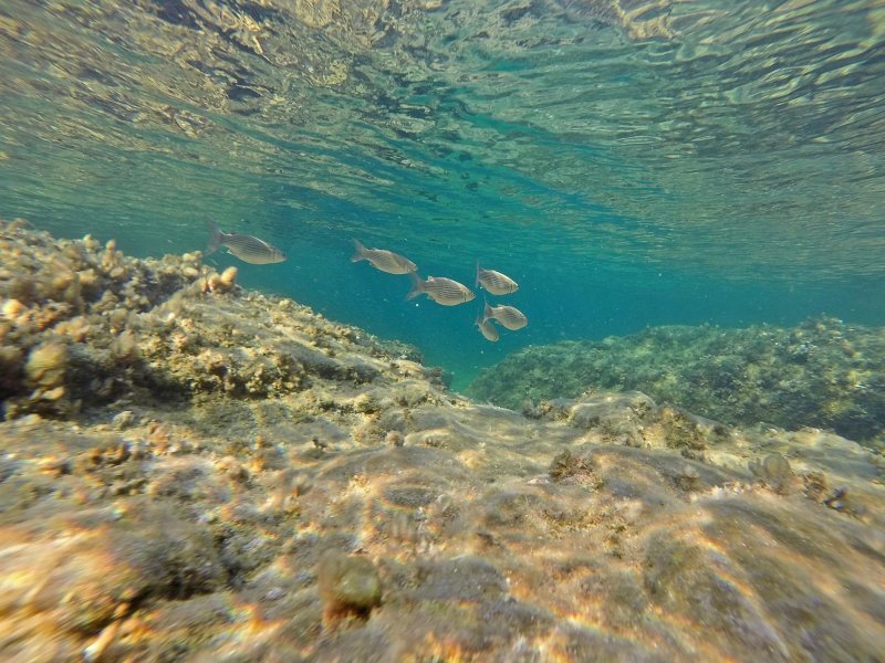 Средиземное море под водой