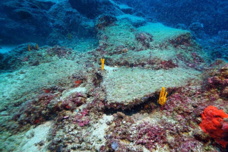 Средиземное море подводный мир