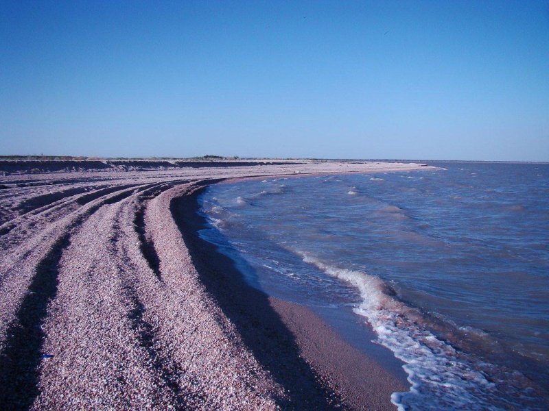 Коса в азовском море