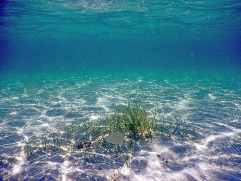 Средиземное море под водой