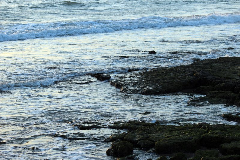 Балтийское море вода