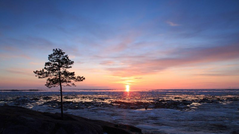 Белое море архангельск