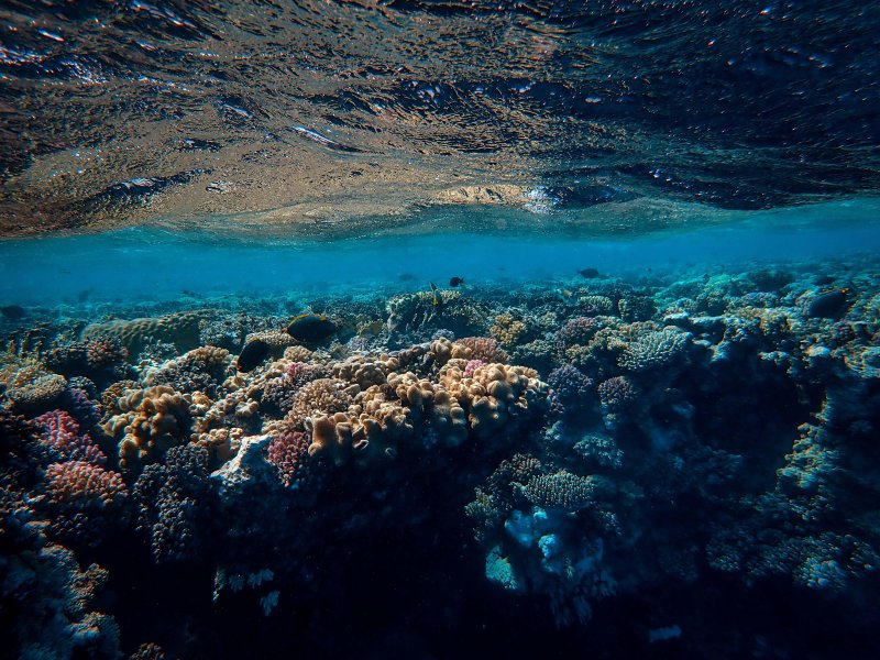 Средиземное море под водой