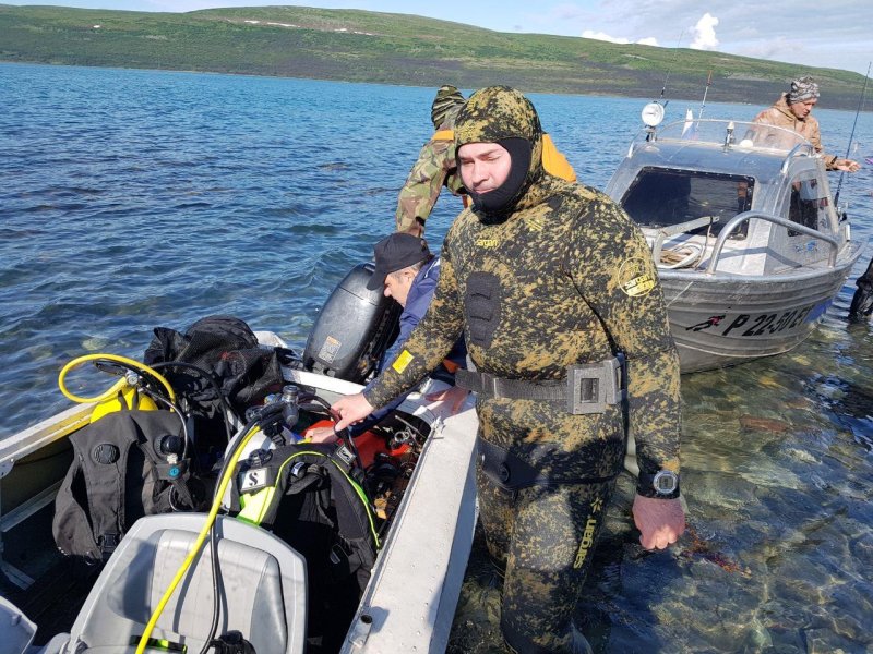 Дайвинг в баренцевом море