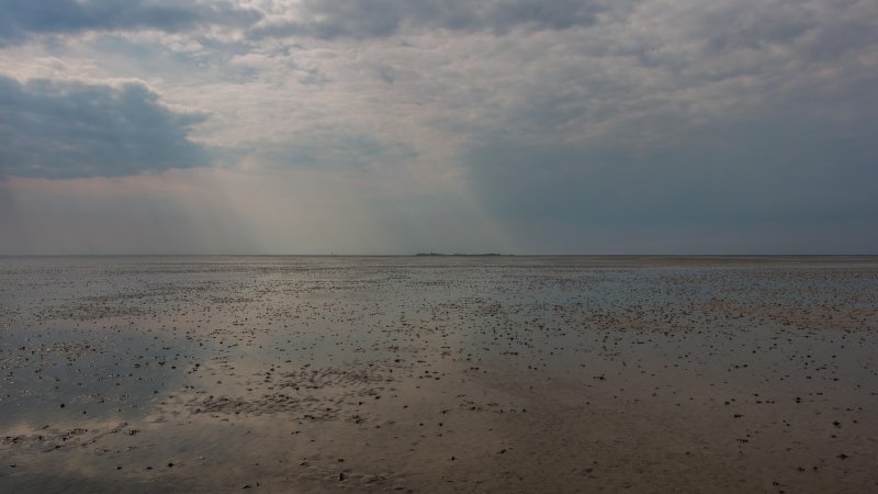 Ваттовое море акватория северного моря