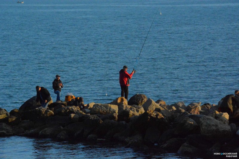 Рыбалка на черном море