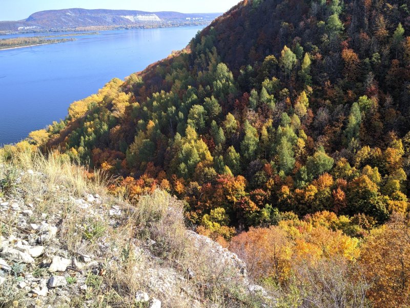 Парк самарская лука