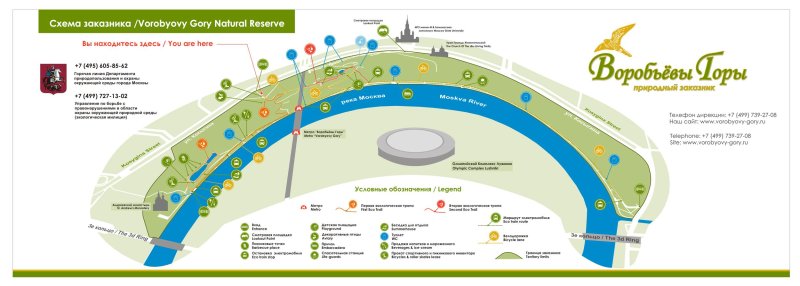 Парк воробьевы горы