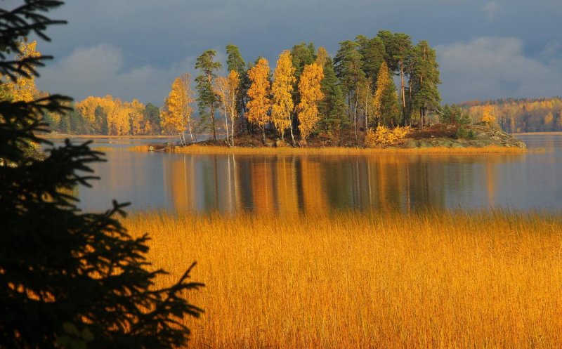 Парк монрепо осень