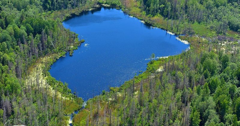 Смоленск парк поозерье