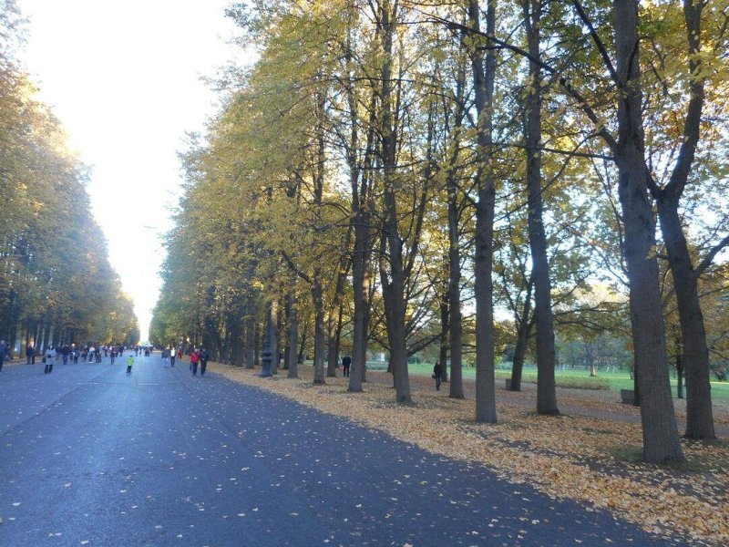 Приморский парк победы санкт петербург