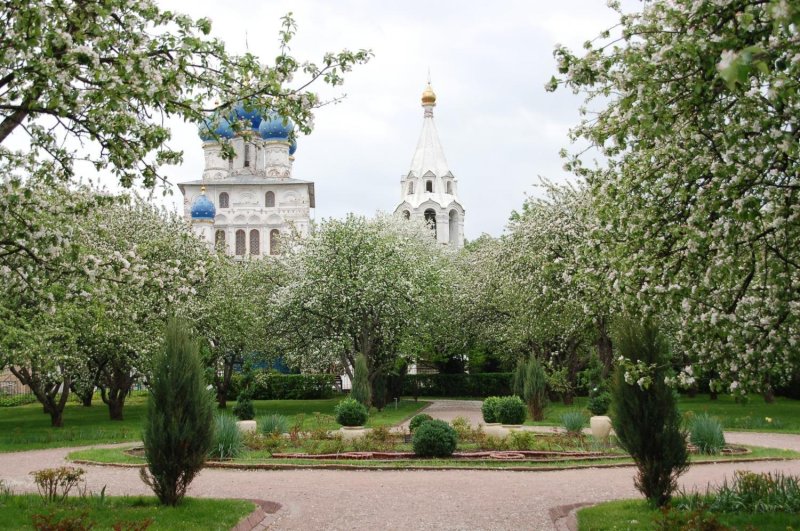 Парк коломенское яблоневый сад