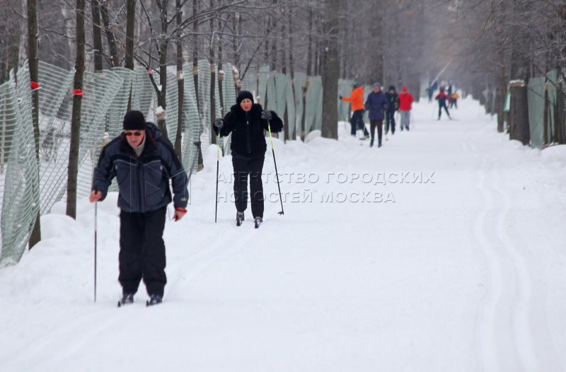 Мещерский парк лыжная трасса