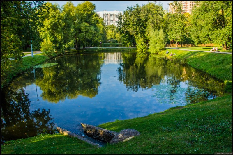 Парк воронцовские пруды