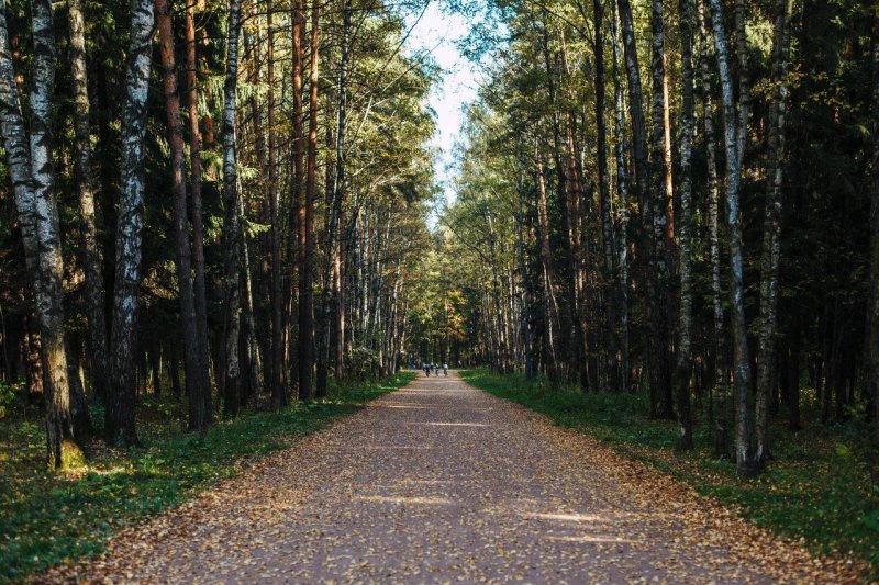 Мещерский парк переделкино