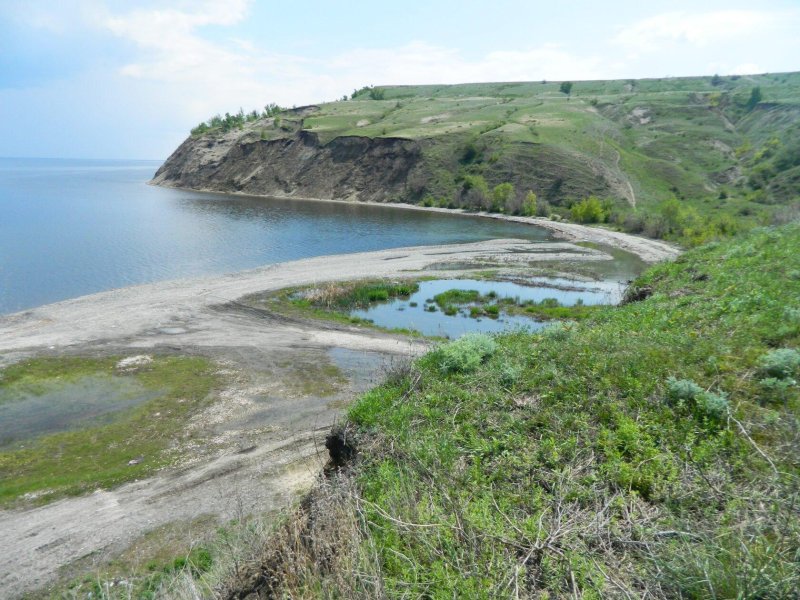 Природный парк щербаковский камышинский район