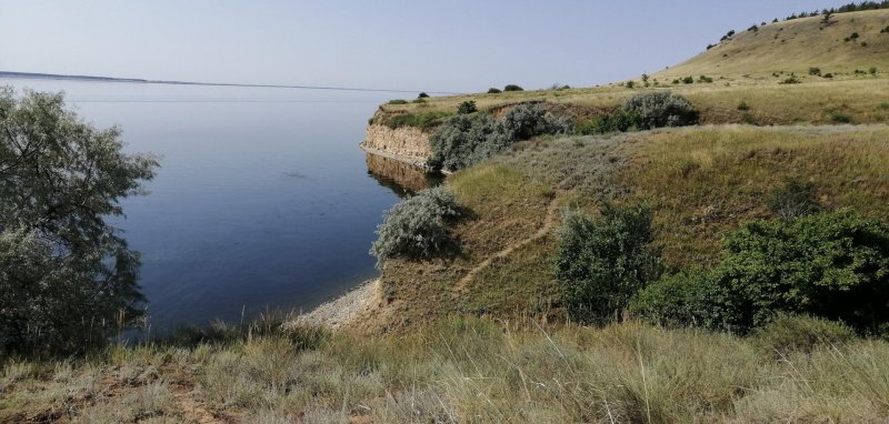 Природный парк щербаковский камышинский район