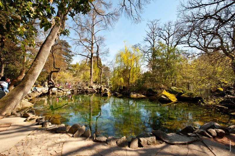 Алупкинский парк лебединое озеро