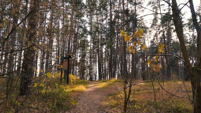 Национальный парк нижняя кама