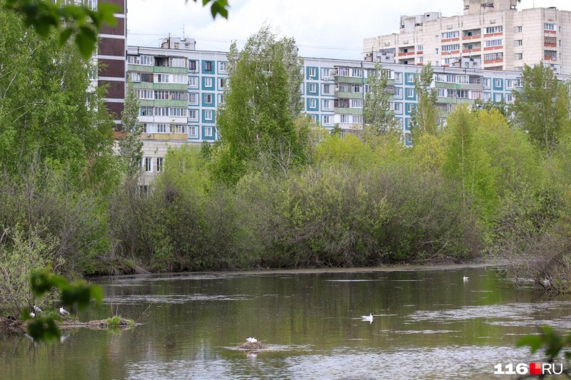 Парк победы омск озеро