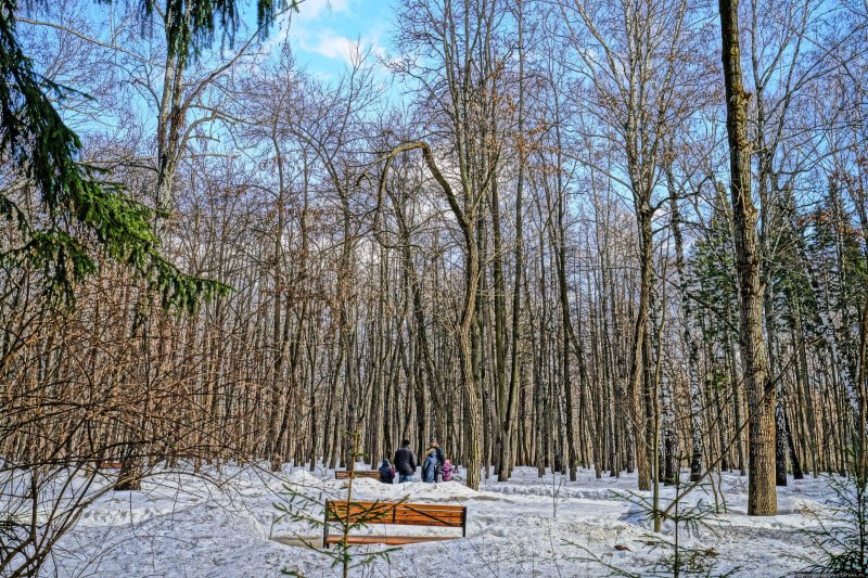 Парк бирюлевский дендропарк