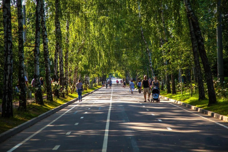 Аллея москва парк