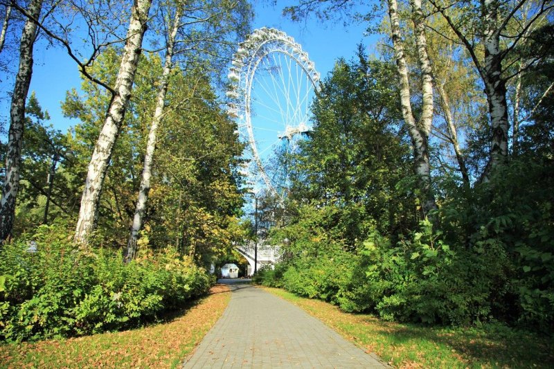 Москва измайловский парк