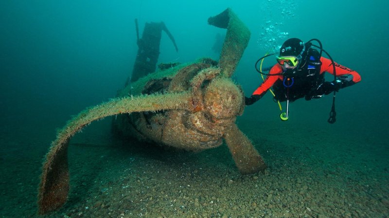 Морской парк кайо пьедрас