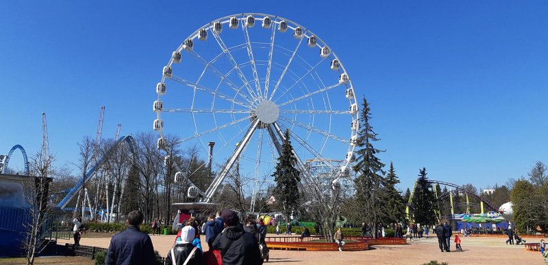 Приморский парк победы санкт петербург