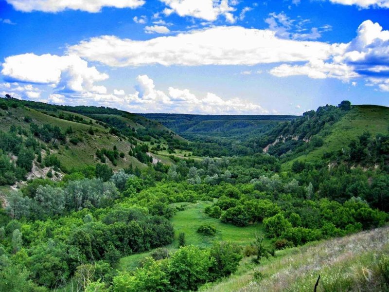 Природный парк щербаковский камышинский район