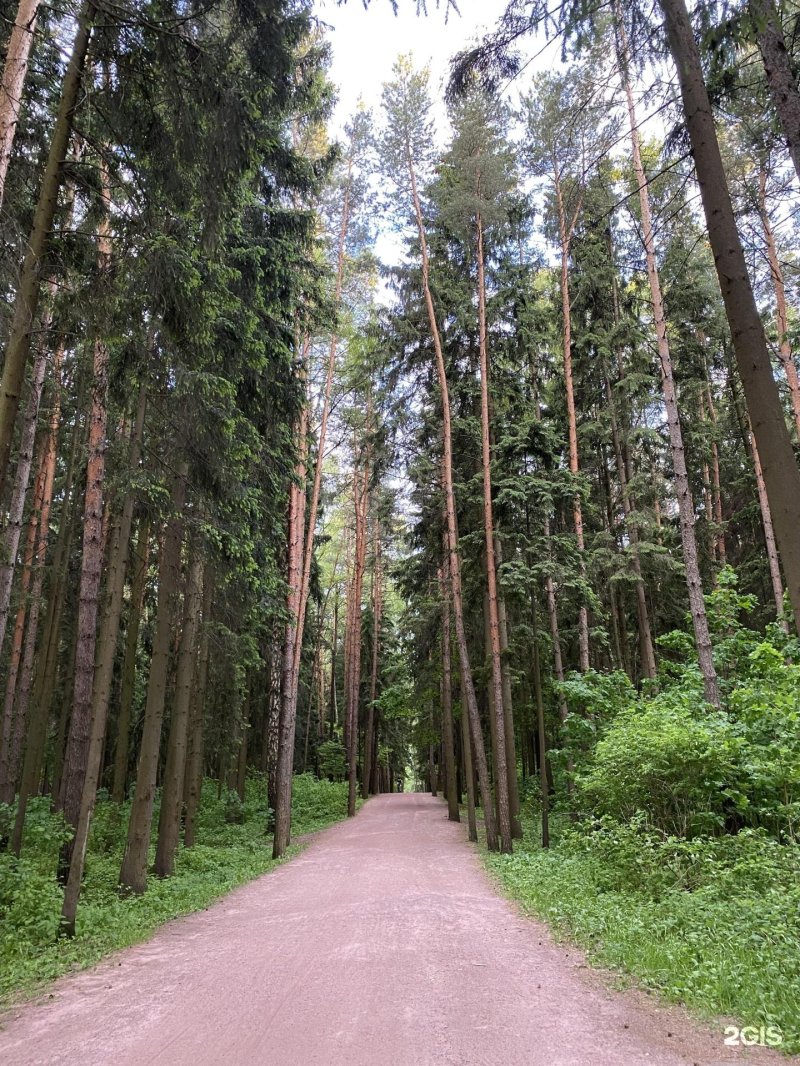 Мещерский парк переделкино