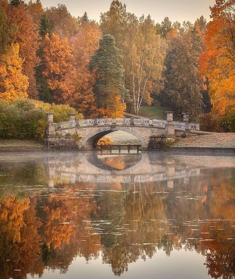 Павловский парк санкт петербург