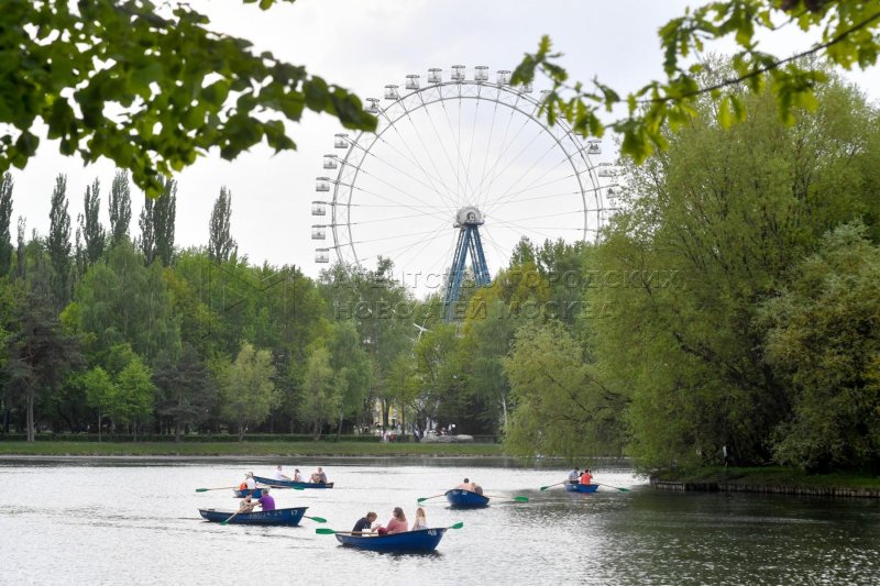 Москва измайловский парк