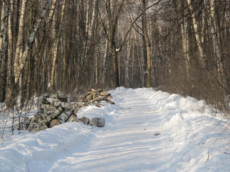 Кусково парк лыжная трасса