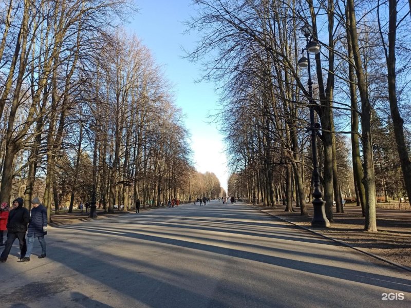 Приморский парк победы санкт петербург