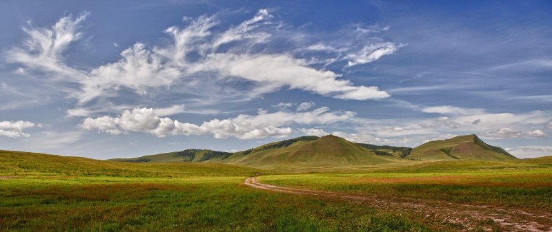 Койбальская степь