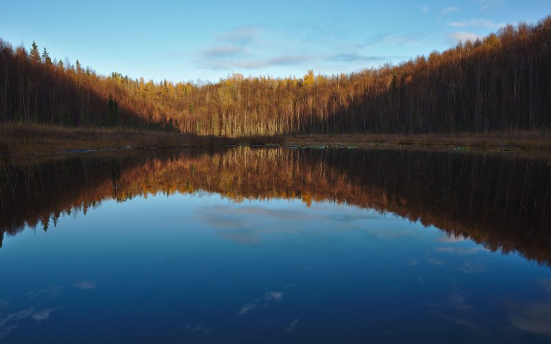 Озеро в тайге