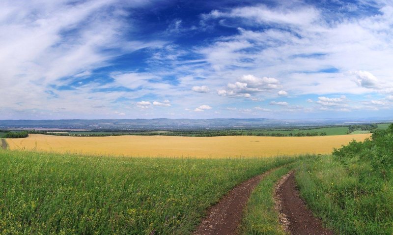 Степи краснодарского края