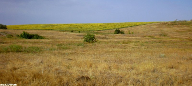 Днепровская степь