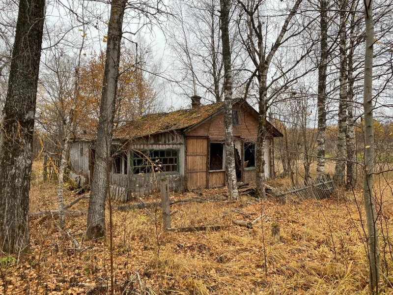 Заброшенные деревни в тайге