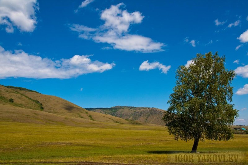 Степи башкортостана