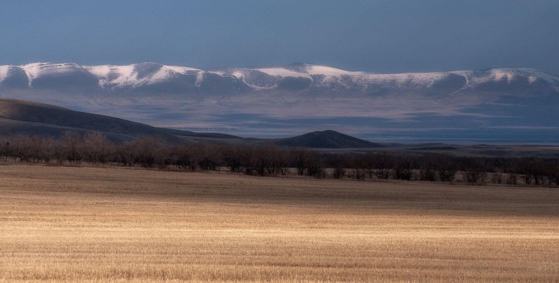 Койбальская степь