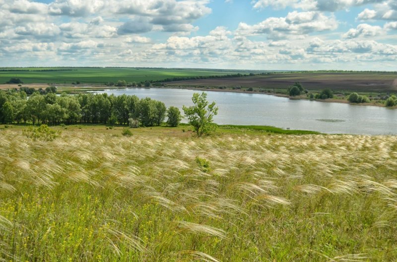 Донская степь