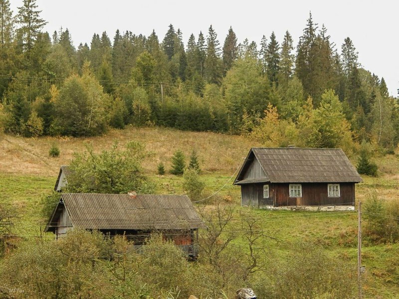 Поселок таежный тайга