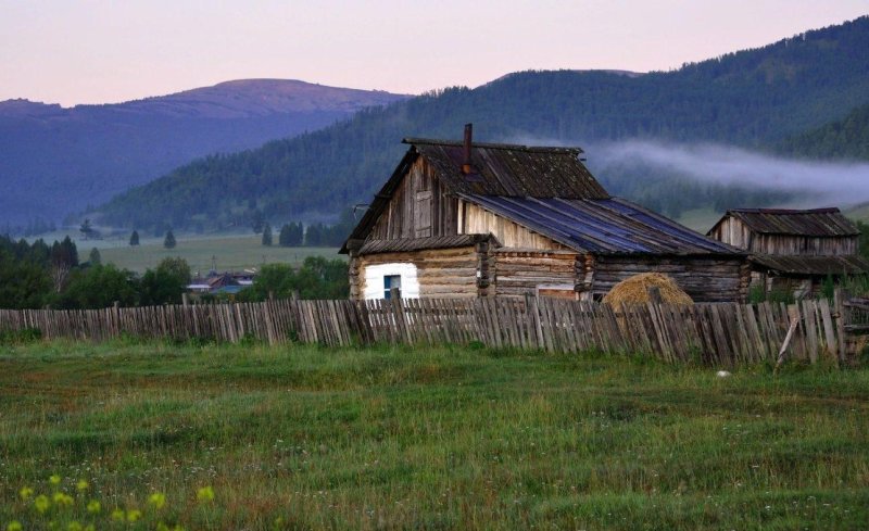 Поселок таежный тайга