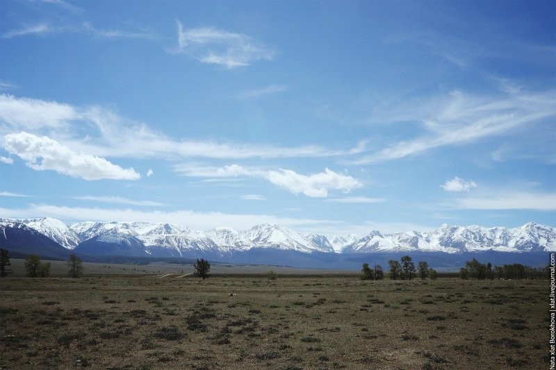 Курайская степь