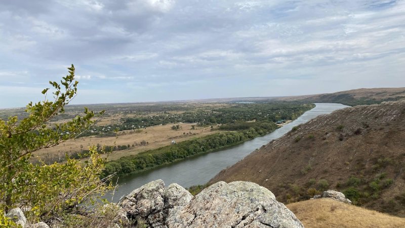 Белая калитва степь