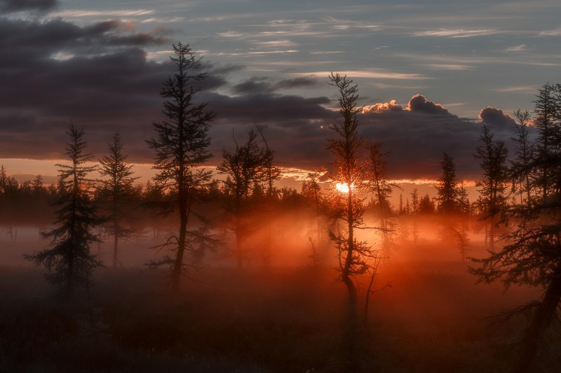 Закат в тайге